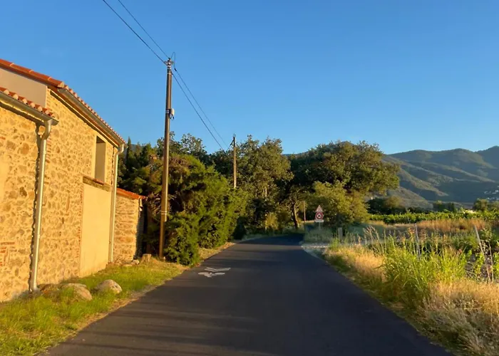 La Bodeguita 1 * Saint-Génis